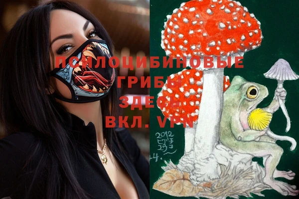 apvp Балахна