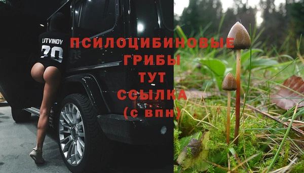 apvp Балахна