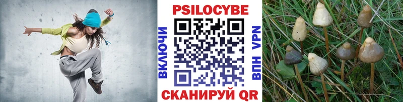 Галлюциногенные грибы Psilocybe  продажа наркотиков  Заинск 